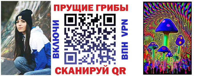где найти   Можайск  Псилоцибиновые грибы ЛСД 